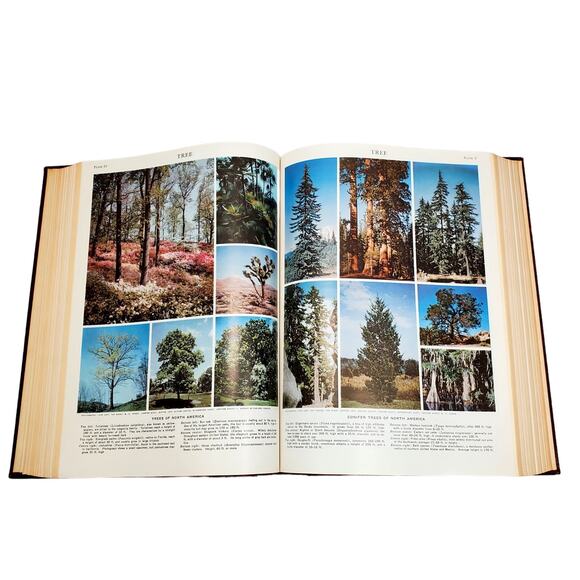 1959 Edition Encyclopedia Britannica Vtg HC Volume 22 TEXTILE to VASC Education - Picture 12 of 15